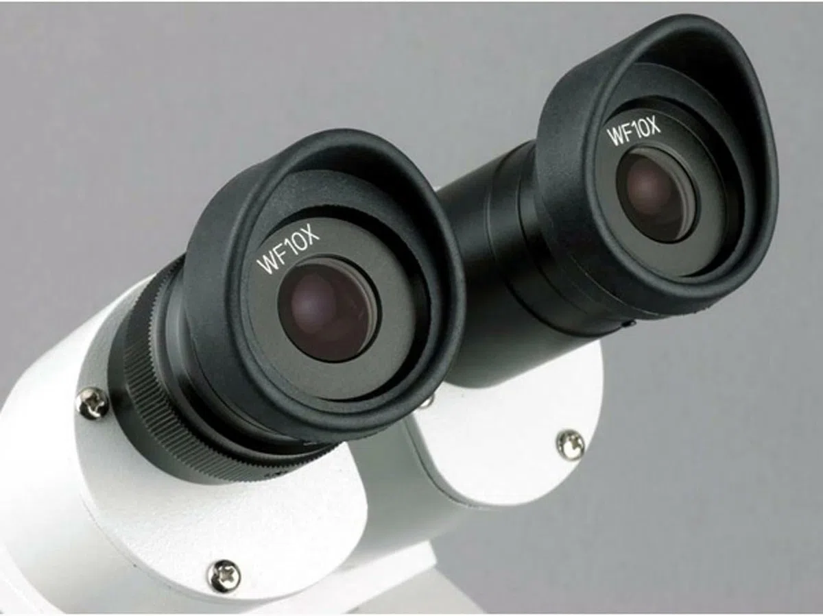 AmScope SE306R-P Estudiante Adelante Microscopio binocular est-reo 20X-40X