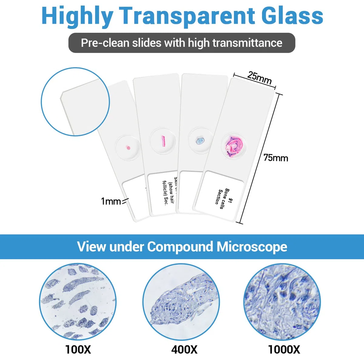 100 Piezas Portaobjetos de Microscopio Preparados, Muestras de Biología Profesional Tejidos Humanos, Células, Plantas, Insectos para Niños Estudiantes Aprendizaje de Ciencias