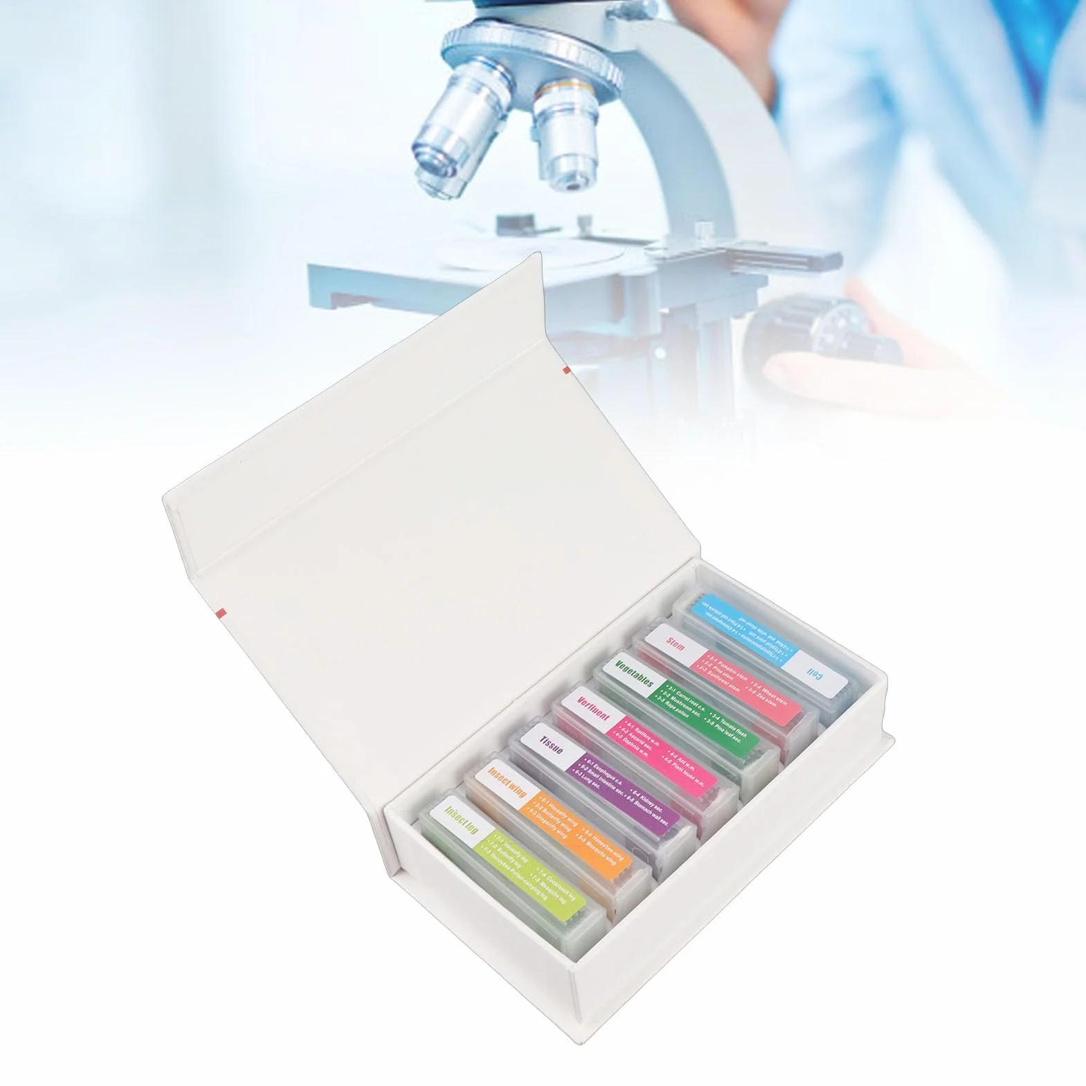 Juego de portaobjetos de microscopio preparado de 35 piezas, portaobjetos de microscopio de vidrio preparado para biología Set de muestras de laboratorio para educación básica en ciencias biológicas