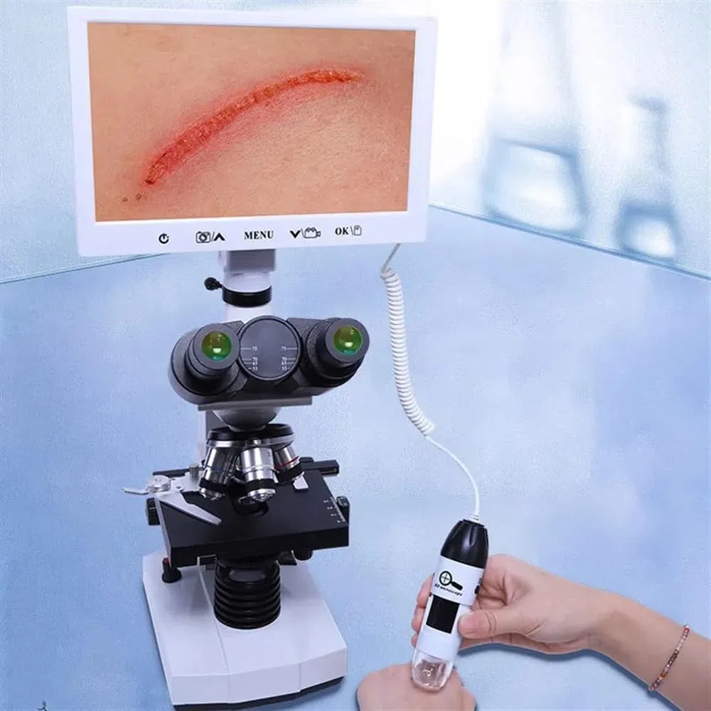 Microscopio Microscopios trinoculares biológicos 40X-1600X y microscopio Digital Adecuado for Laboratorio de Ciencias, Escuela, Estudiantes, niños