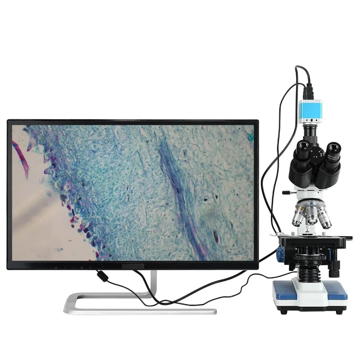 Microscopio Digital, Microscopio biológico Compuesto Profesional 40X-1600X con luz Ajustable, mecánico, XY, Platina 3D for Laboratorio de Ciencias médicas educativas