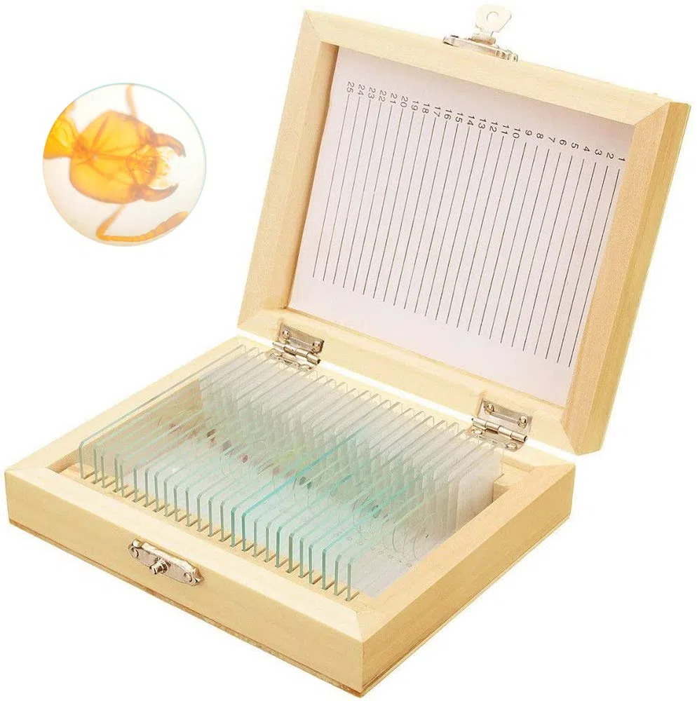 Preparó Portaobjetos de Microscopio con Muestras para Niños, 25 Piezas de Portaobjetos de Muestra de Microscopio con Estuche de Madera para Educación Biológica Básica