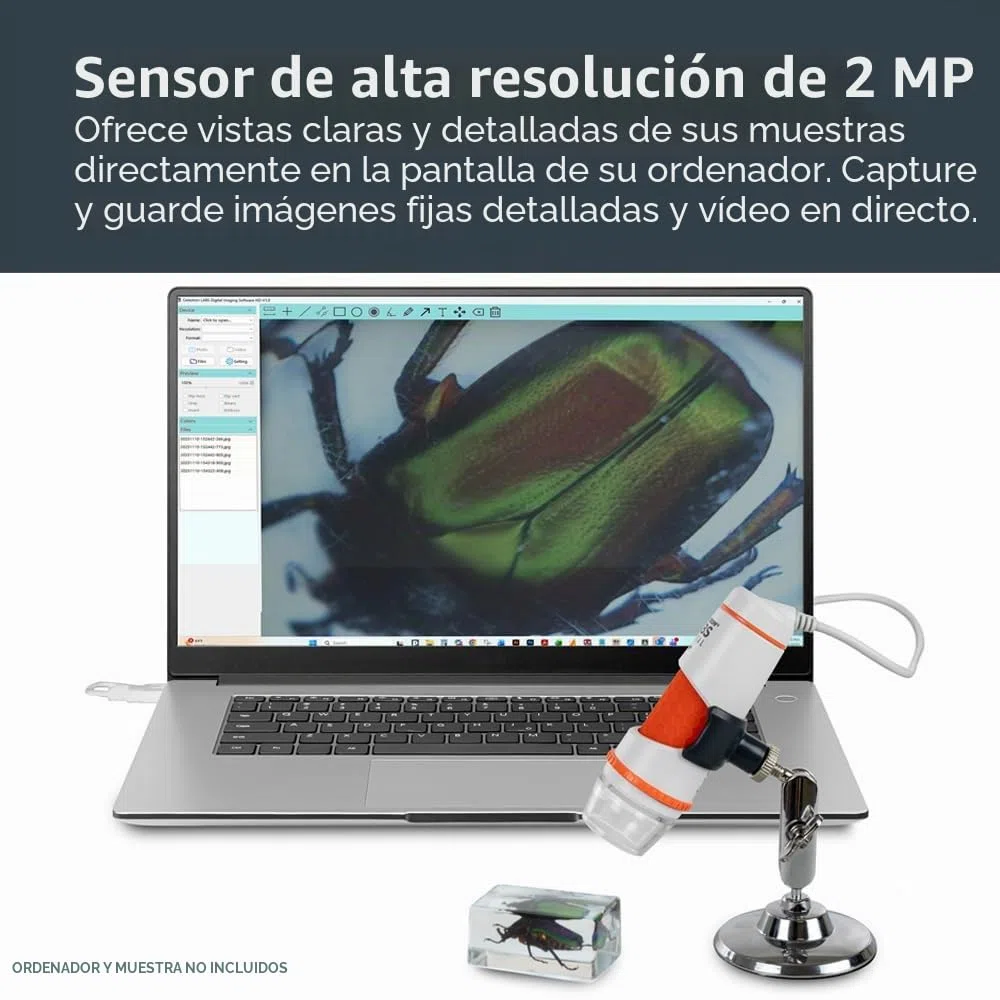 Capture sus descubrimientos con el microscopio digital portátil Deluxe 44302-C de Celestron, gris