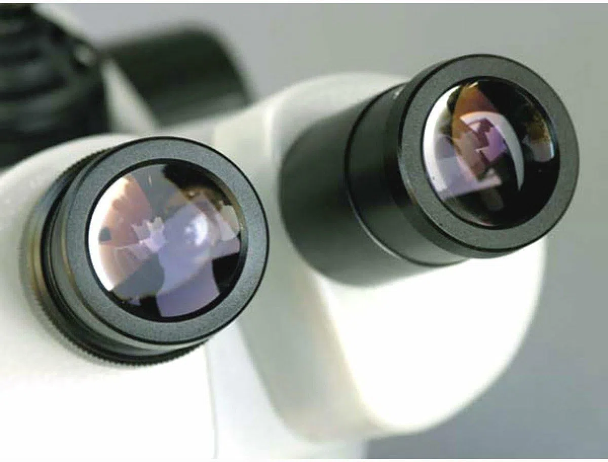 AmScope Microscopio estéreo trinocular SW-3T24Z, oculares WH10x, ampliación 20X/40X/80X, Objetivo 2X/4X, Soporte de Brazo único, Incluye Lente Barlow 2.0X