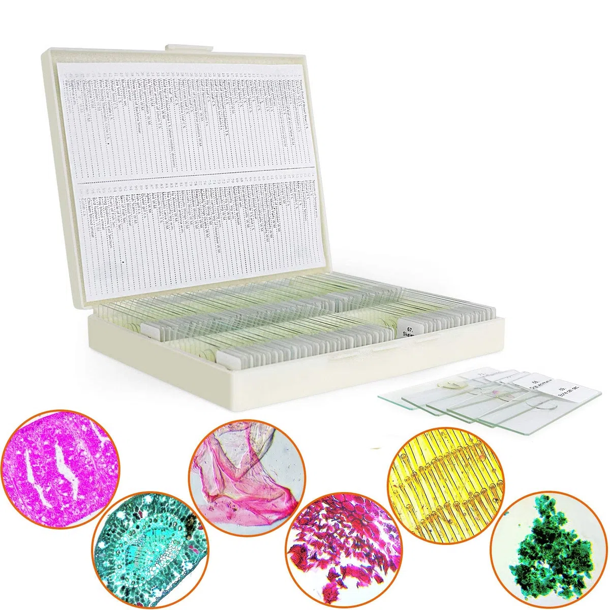 100 Muestras Microscopio Preparadas para Niños, Portaobjetos Microscopio con Plantas Animales Insectos Humana Cellular para Adultos Niños Estudiantes, Uso Escolar en Casa