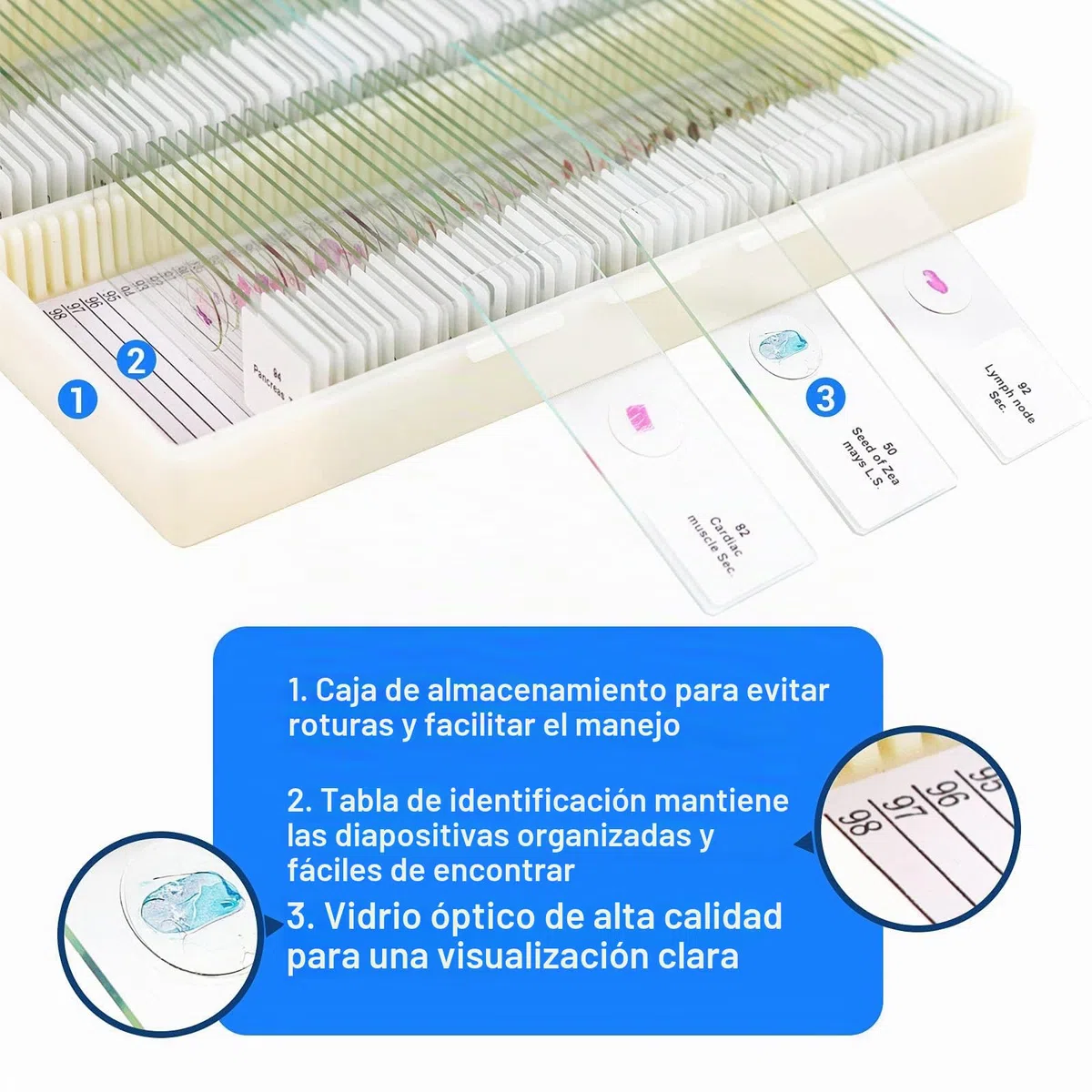 USCAMEL Muestras Microscopio, 100 portaobjetos de microscopio preparados con muestras para niños y Adultos