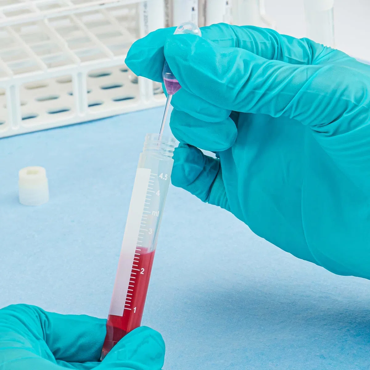 Mundo Científico 134010 – 500 LDPE Pipet de transferencia de punta fina, no estéril, 51 mm longitud, 1,3 ml capacidad (caja de 500)