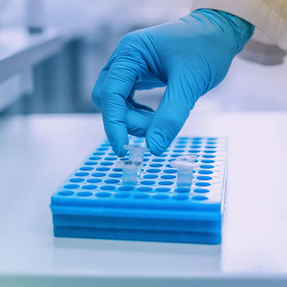 PATIKIL 2ML Tubos De Plástico Para Centrífuga, 500 Piezas Tubo Para Centrífuga De Fondo Redondo Con Tapa A Presión Y Marcas Graduadas Para Muestras De Laboratorio, Azul