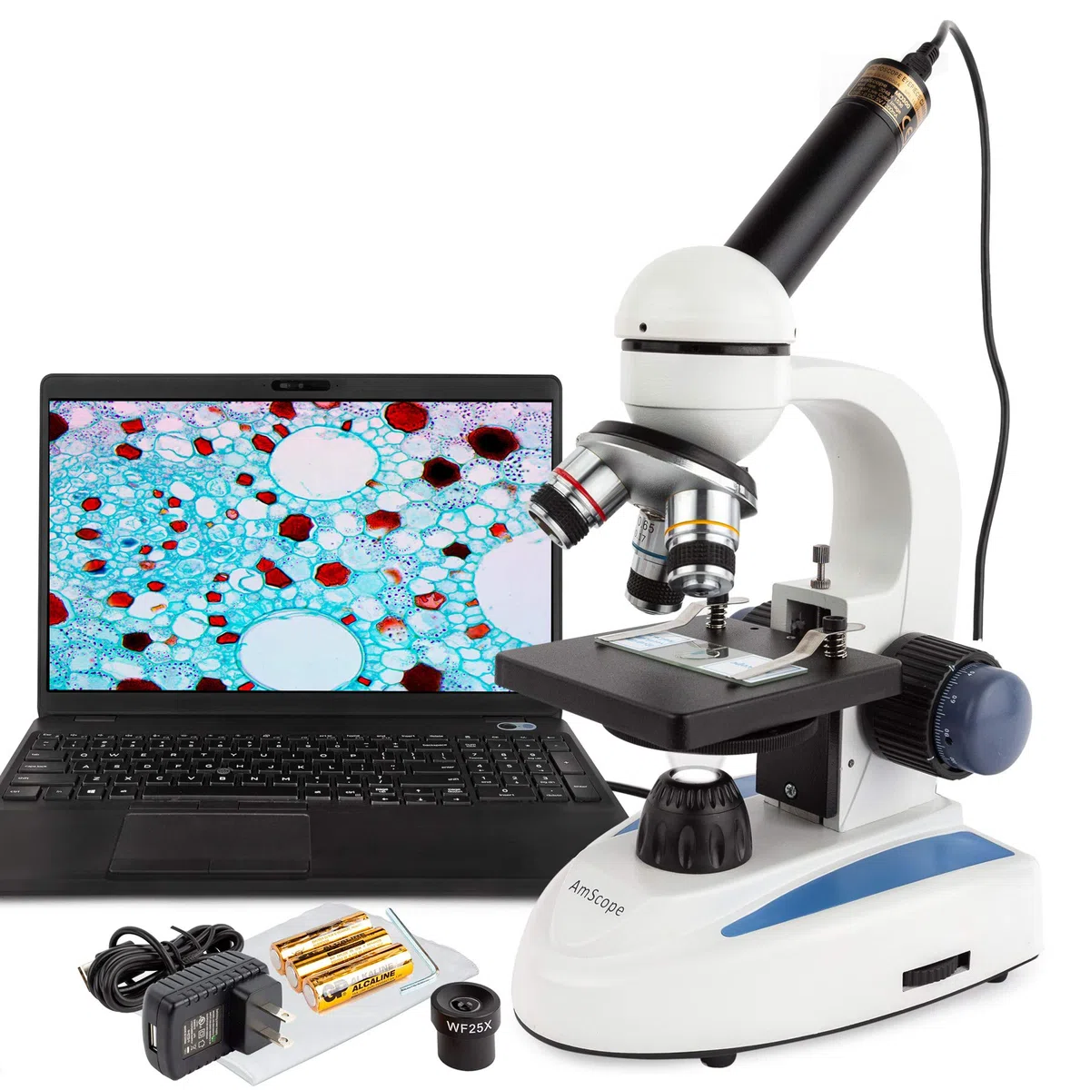 AmScope - Microscopio para Estudiantes de Ciencias Biologicas de Cristal y Metal con Camera Digital de MP USB - M158C-E