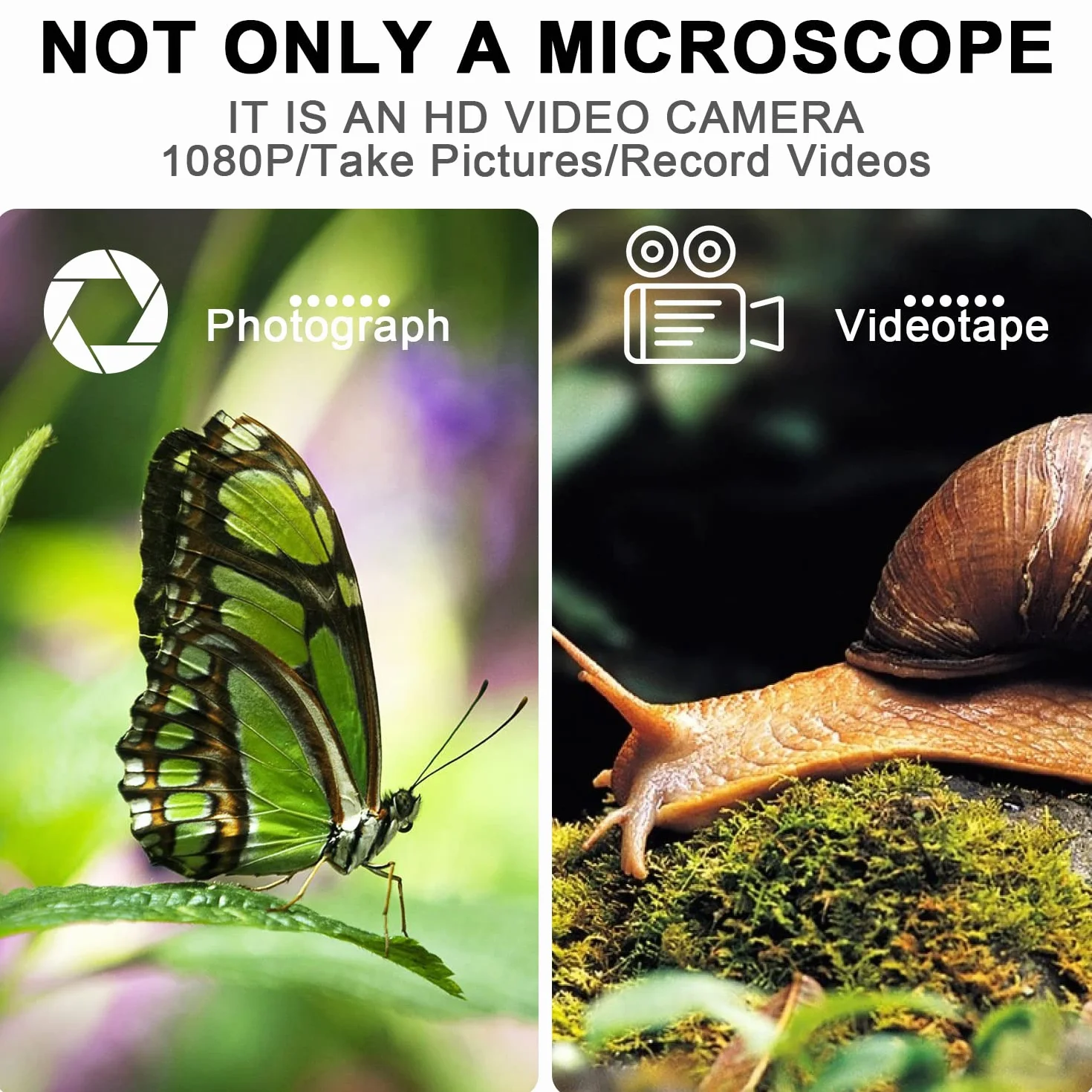 4K 3840x2160P Microscopio Digital Inalámbrico, Microscopio de Mano HD USB Cámara de Inspección Endoscopio 40x-1000x Aumento, Compatible con iPhone iPad Android Phone Tablet Windows Mac PC