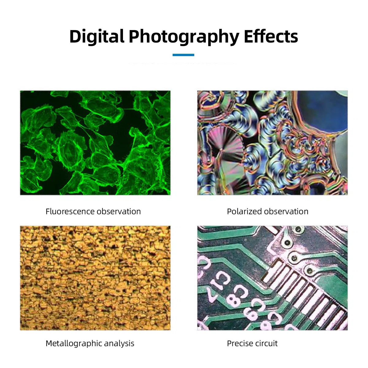 Cámara de Microscopio Electrónico, 48MP 4K 1080p USB2.0 Salida Video Industrial Cámara Video Video Industria Cámara de Microscopio HD Interfaz Multimedia para Soldadura (Enchufe