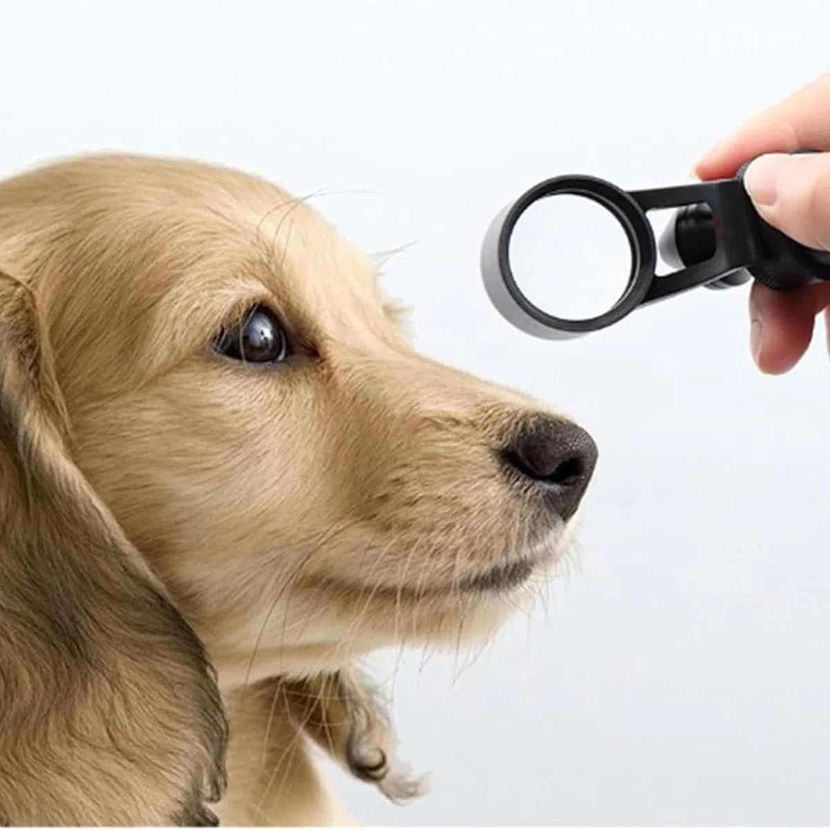 Microscopio de lámpara de hendidura portátil, microscopio de lámpara de hendidura portátil con LED, aumento de 5x, hendidura ajustable, para clínicas veterinarias, oftalmología, laboratorios y centros