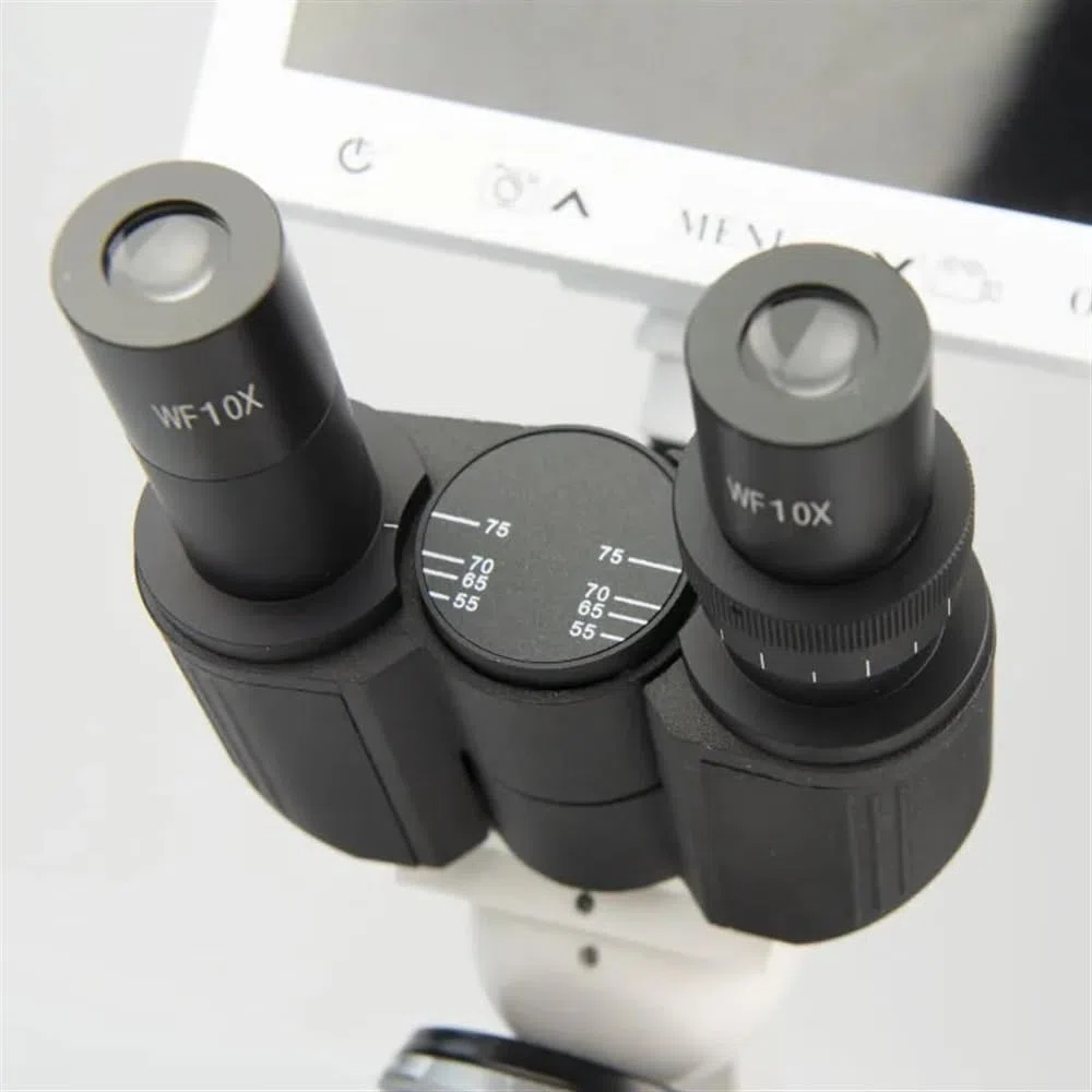 Microscopio Microscopios trinoculares biológicos 40X-1600X y microscopio Digital Adecuado for Laboratorio de Ciencias, Escuela, Estudiantes, niños