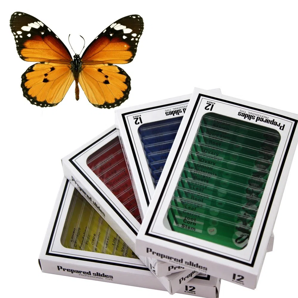 48pzas Juego Muestras Preparadas Microscopio Animales Insectos Plantas Flores Plástico 1pza Espécimen Mariposa Real Estudiantes Ciencia Juego Educativo