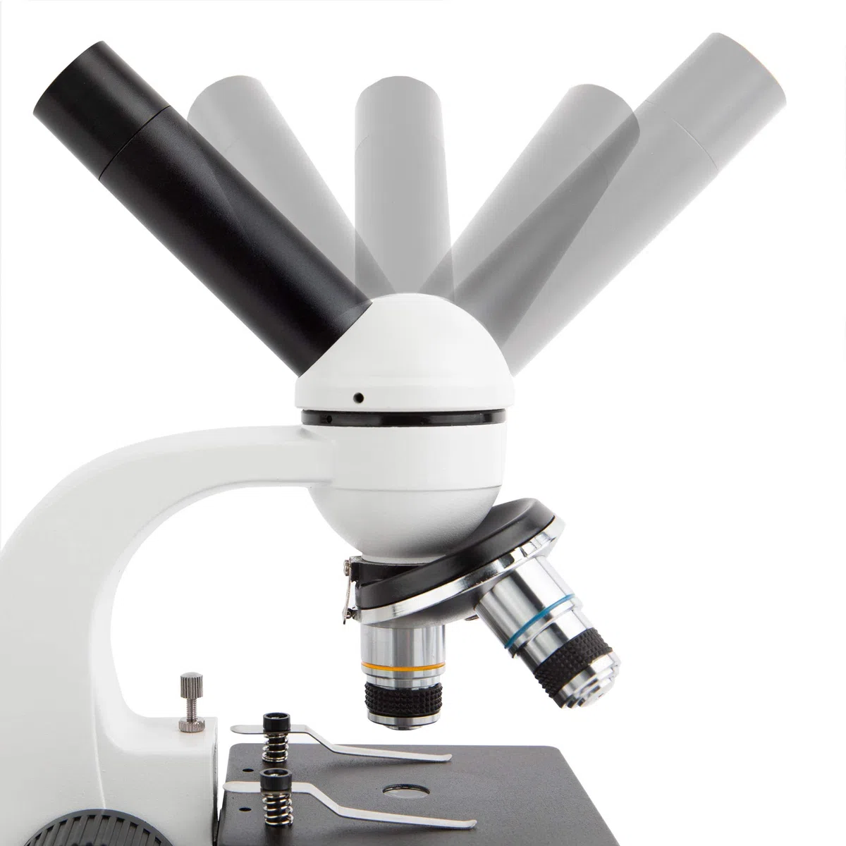 AmScope - Microscopio para Estudiantes de Ciencias Biologicas de Cristal y Metal con Camera Digital de MP USB - M158C-E