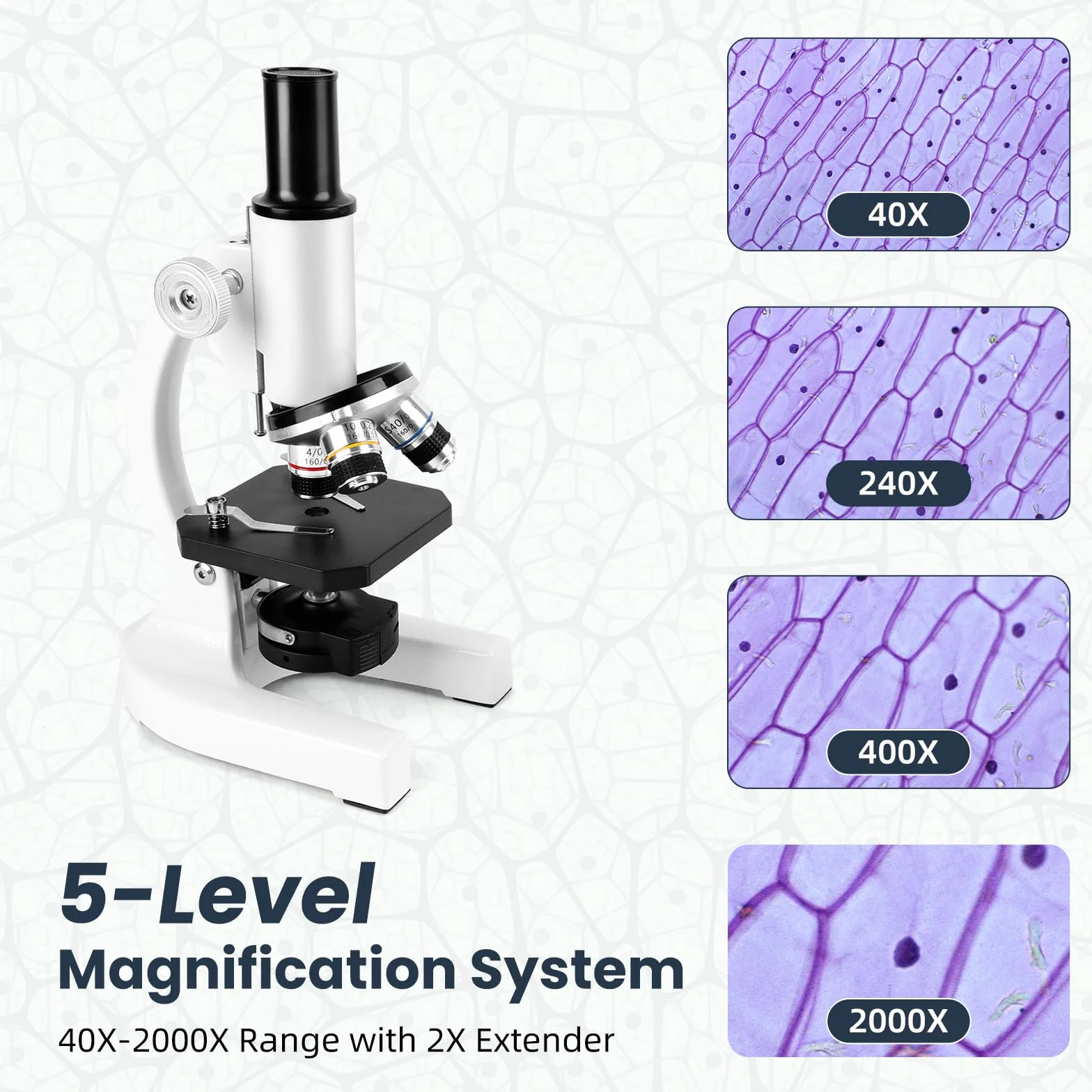 Microscopio 40-2000x, Microscopio óPtico MetáLico con Oculares De 10x Y 25x, Objetivos De 4x10x Y 40x Y Lupa De 2X. Ideal para Adultos Y NiñOs