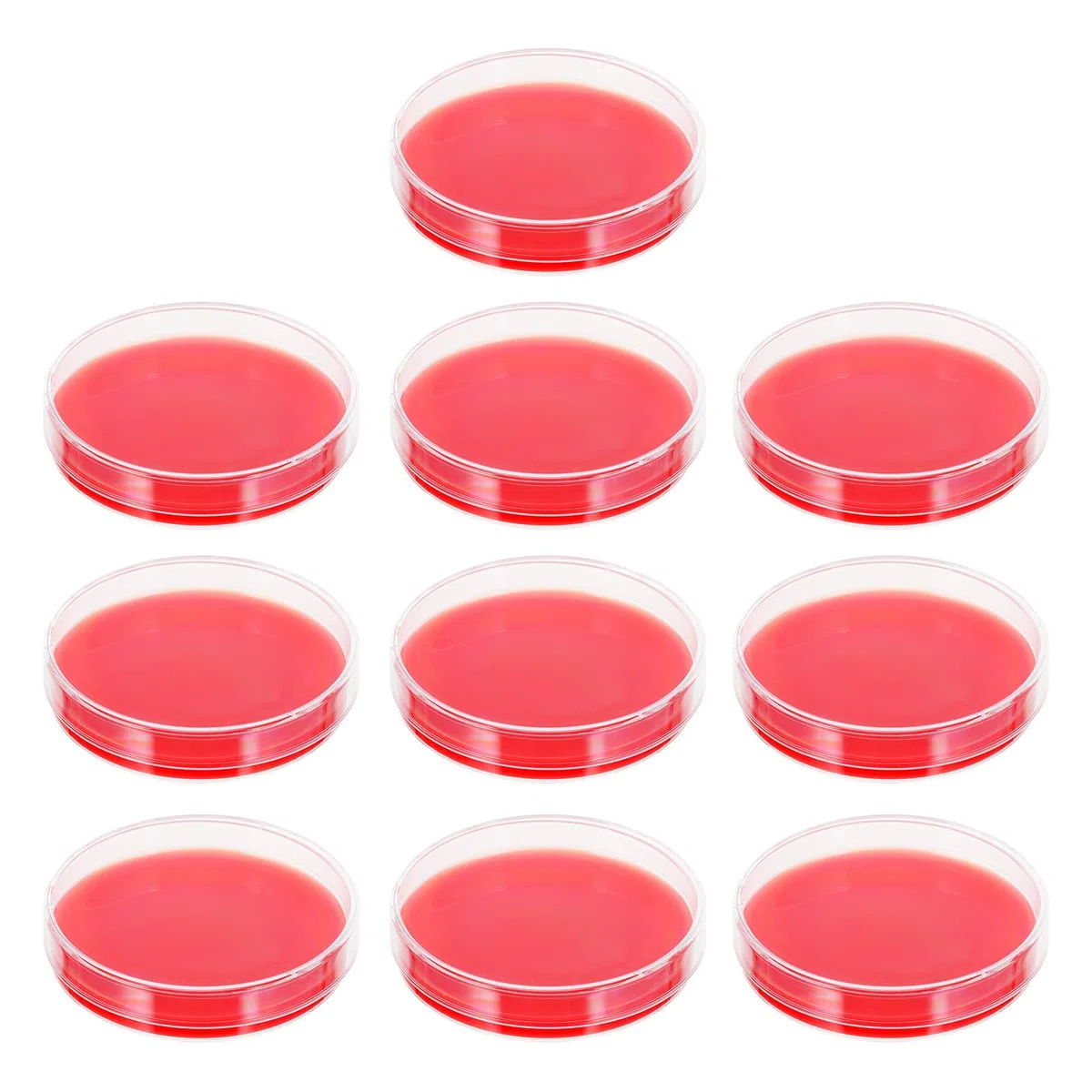 ULTECHNOVO de Cultivo Moldeado de Precisión para Laboratorio 10 Placas de Agar Rojo Material PE Ideales para Instituciones y Cultivo de Estafilococos