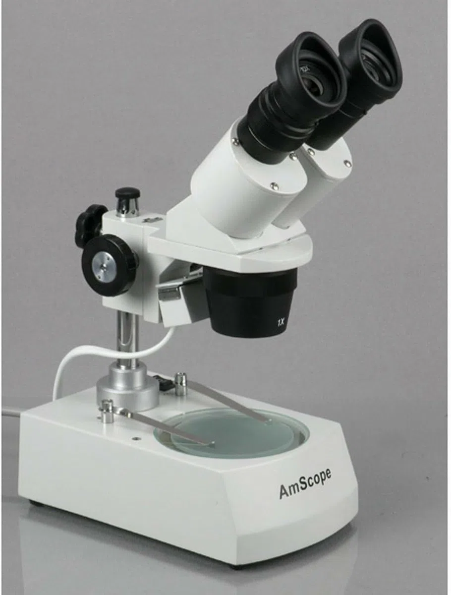 AmScope SE306R-P Estudiante Adelante Microscopio binocular est-reo 20X-40X