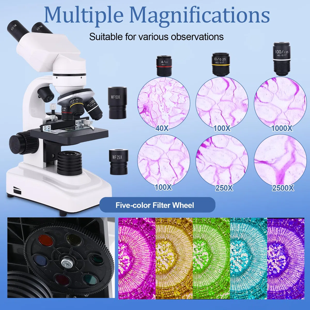 Microscopio para adultos y niños, microscopio binocular 40-2500X para laboratorio escolar y escuela en casa, con etapas mecánicas, juego de diapositivas y soporte para teléfono