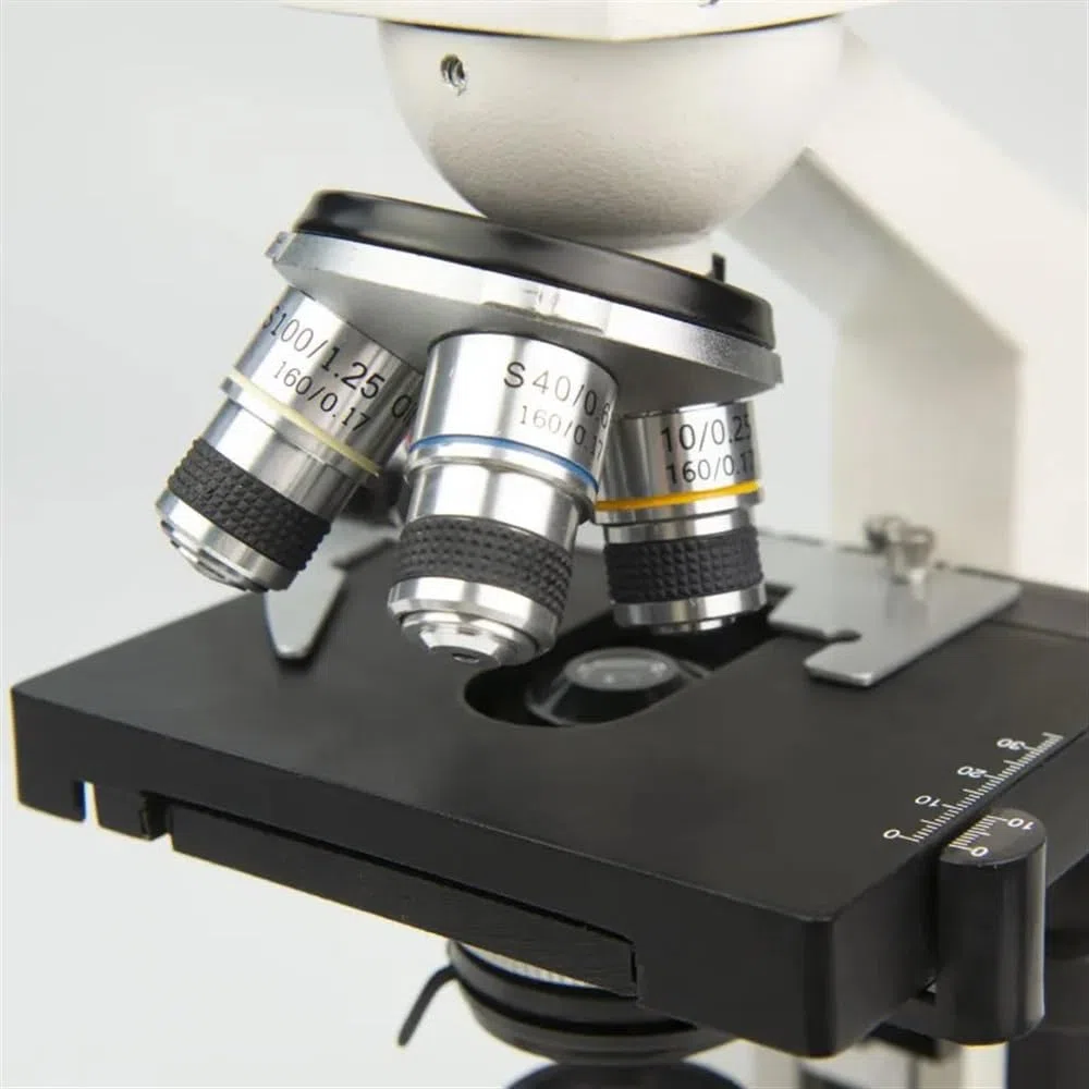 Microscopio Microscopios trinoculares biológicos 40X-1600X y microscopio Digital Adecuado for Laboratorio de Ciencias, Escuela, Estudiantes, niños