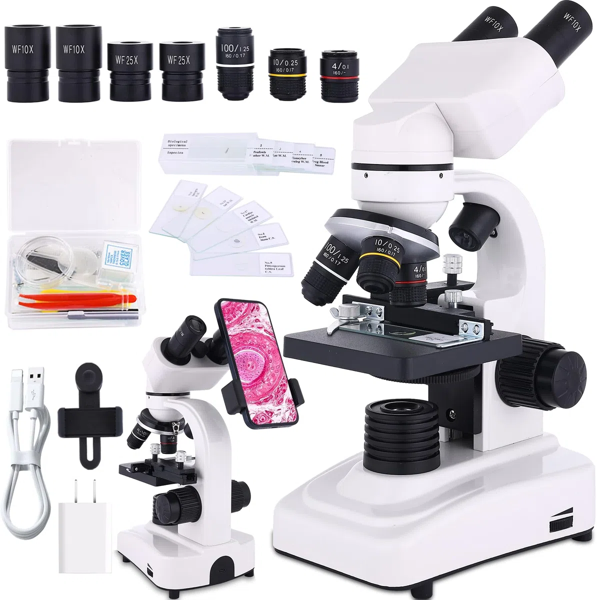 Microscopio para adultos y niños, microscopio binocular 40-2500X para laboratorio escolar y escuela en casa, con etapas mecánicas, juego de diapositivas y soporte para teléfono