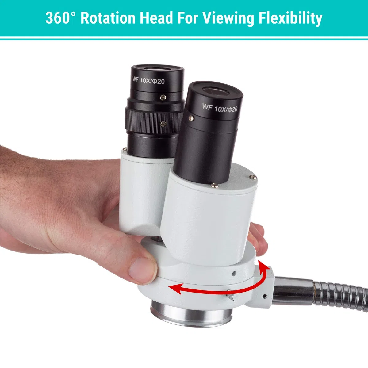 AmScope - Microscopio estéreo binocular de aumento 8X w/360 Revolve - Dental, laboratorio, reparación electrónica, soldadura, iluminador de cuello de cisne tienda - SE508