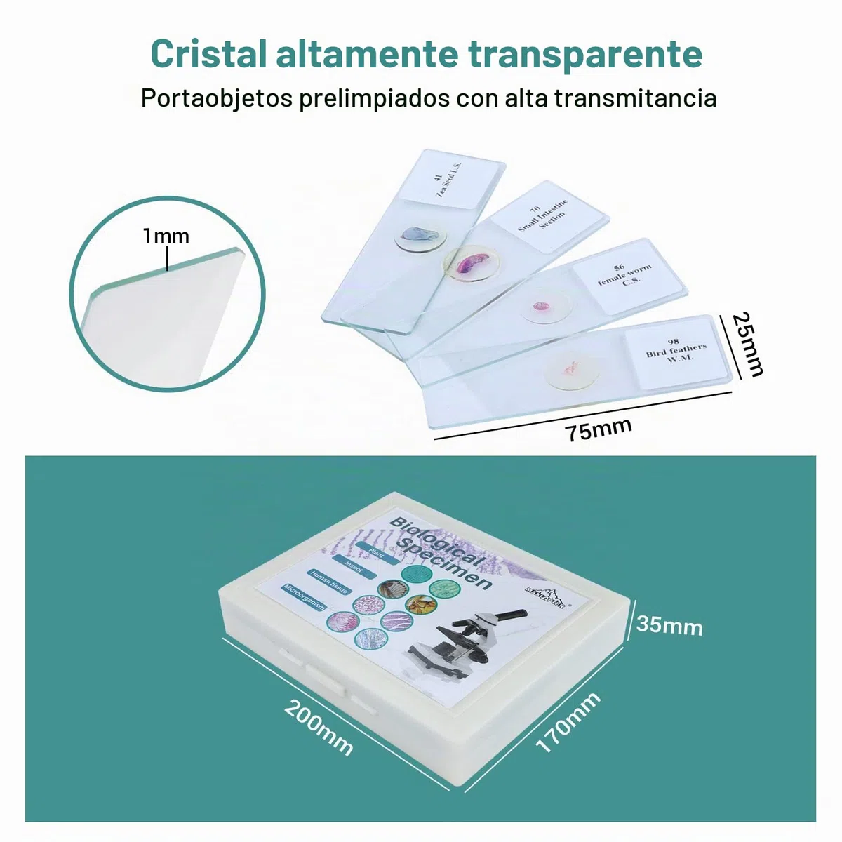 100 Muestras Microscopio Preparadas para Niños, Portaobjetos Microscopio con Plantas Animales Insectos Humana Cellular para Adultos Niños Estudiantes, Uso Escolar en Casa