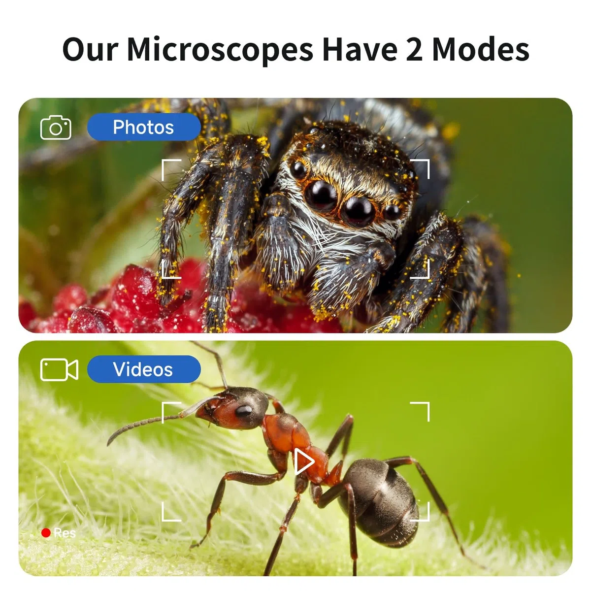 BEAVERLAB Microscopio para niños, microscopio Digital 1600X HD, microscopio para niños de 4 a 12 años, microscopio Digital con Pantalla IPS de 4 Pulgadas, microscopio para Android, iOS, computadora