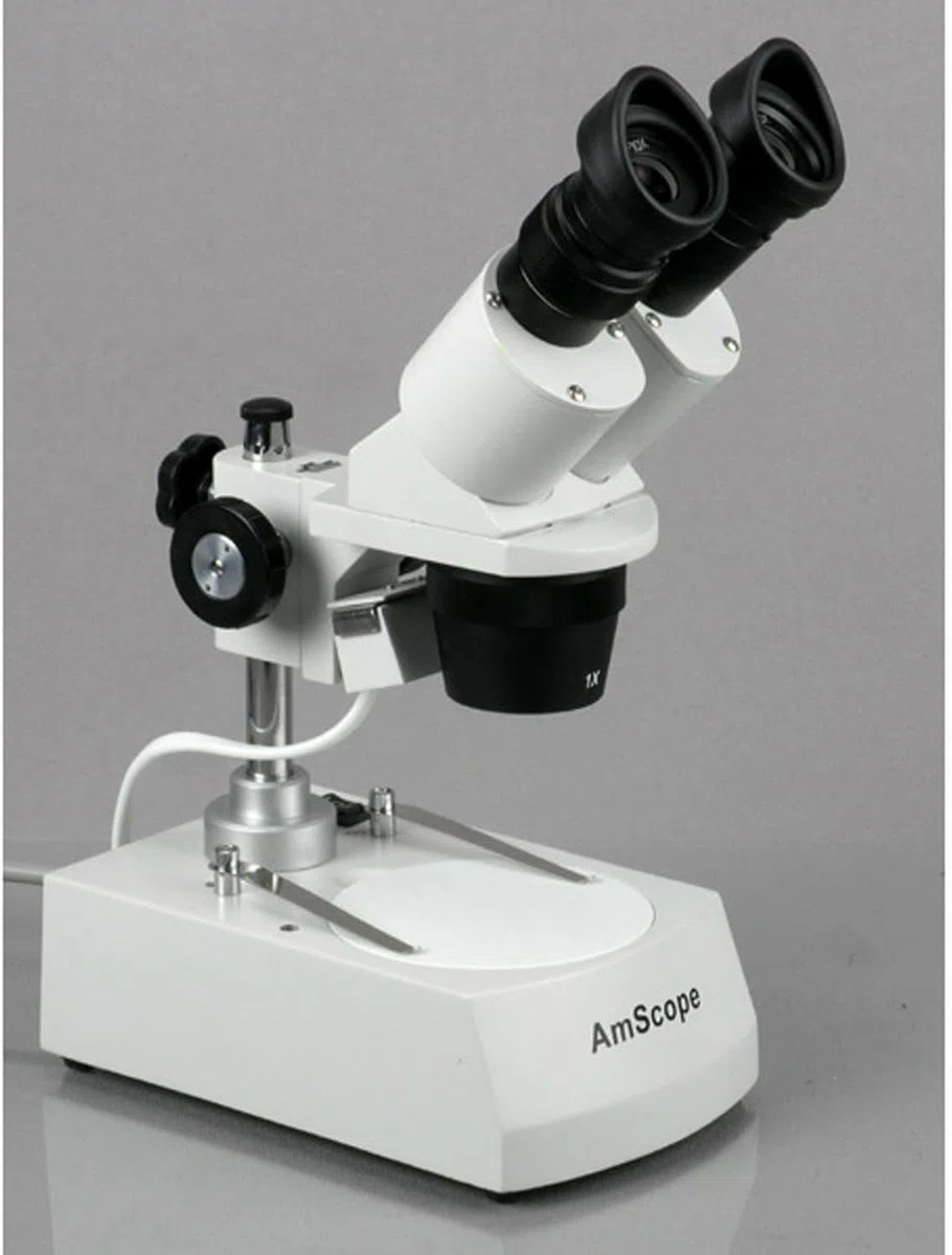 AmScope SE306R-P Estudiante Adelante Microscopio binocular est-reo 20X-40X